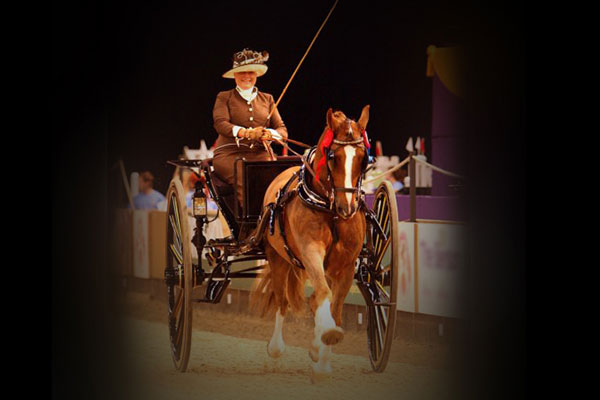 Minta Winn at HOYS