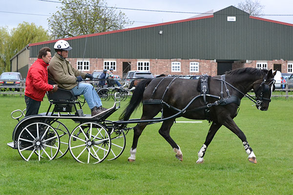 Ashfields Training